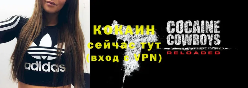 Cocaine Перу  закладка  Балтийск 