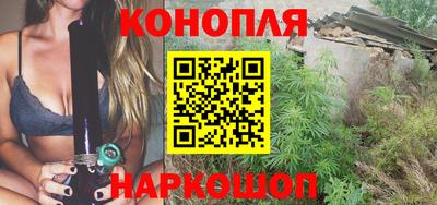 гашик Бийск