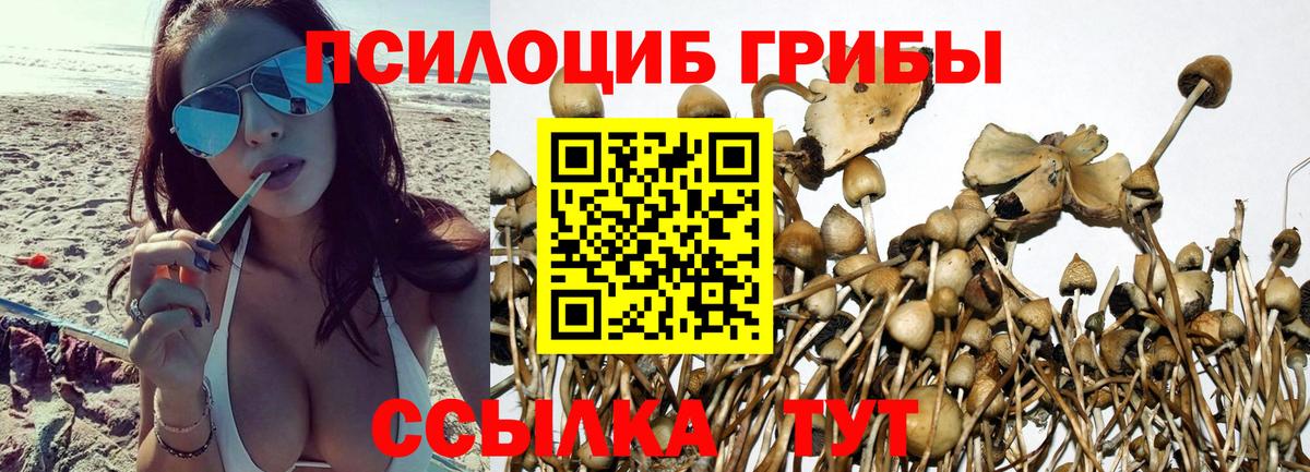 Галлюциногенные грибы Magic Shrooms  Балтийск  Псилоцибиновые грибы MAGIC MUSHROOMS 