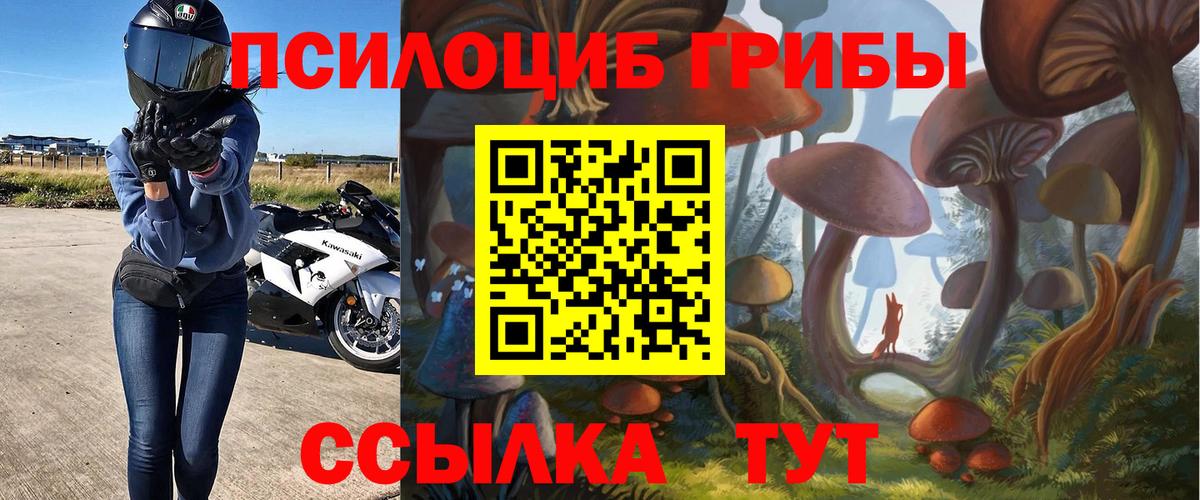 Псилоцибиновые грибы ЛСД Балтийск
