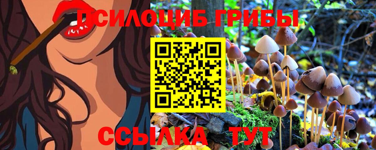 закладки  Вход с VPN  Балтийск  Псилоцибиновые грибы MAGIC MUSHROOMS  Псилоцибиновые грибы прущие грибы 