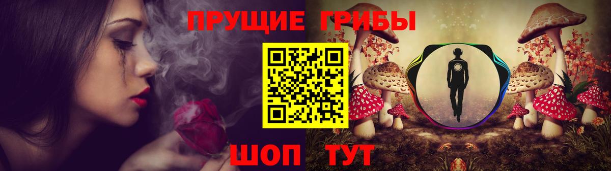 Псилоцибиновые грибы GOLDEN TEACHER Балтийск