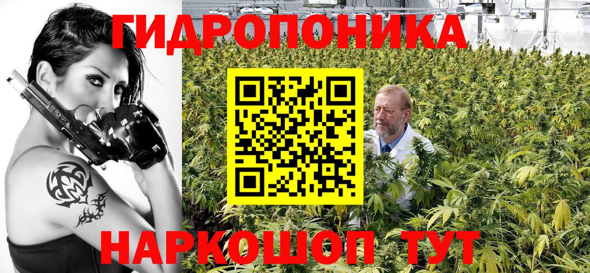 Конопля THC 21%  Марихуана MAZAR  Конопля THC 21%  Балтийск  Конопля LSD WEED 